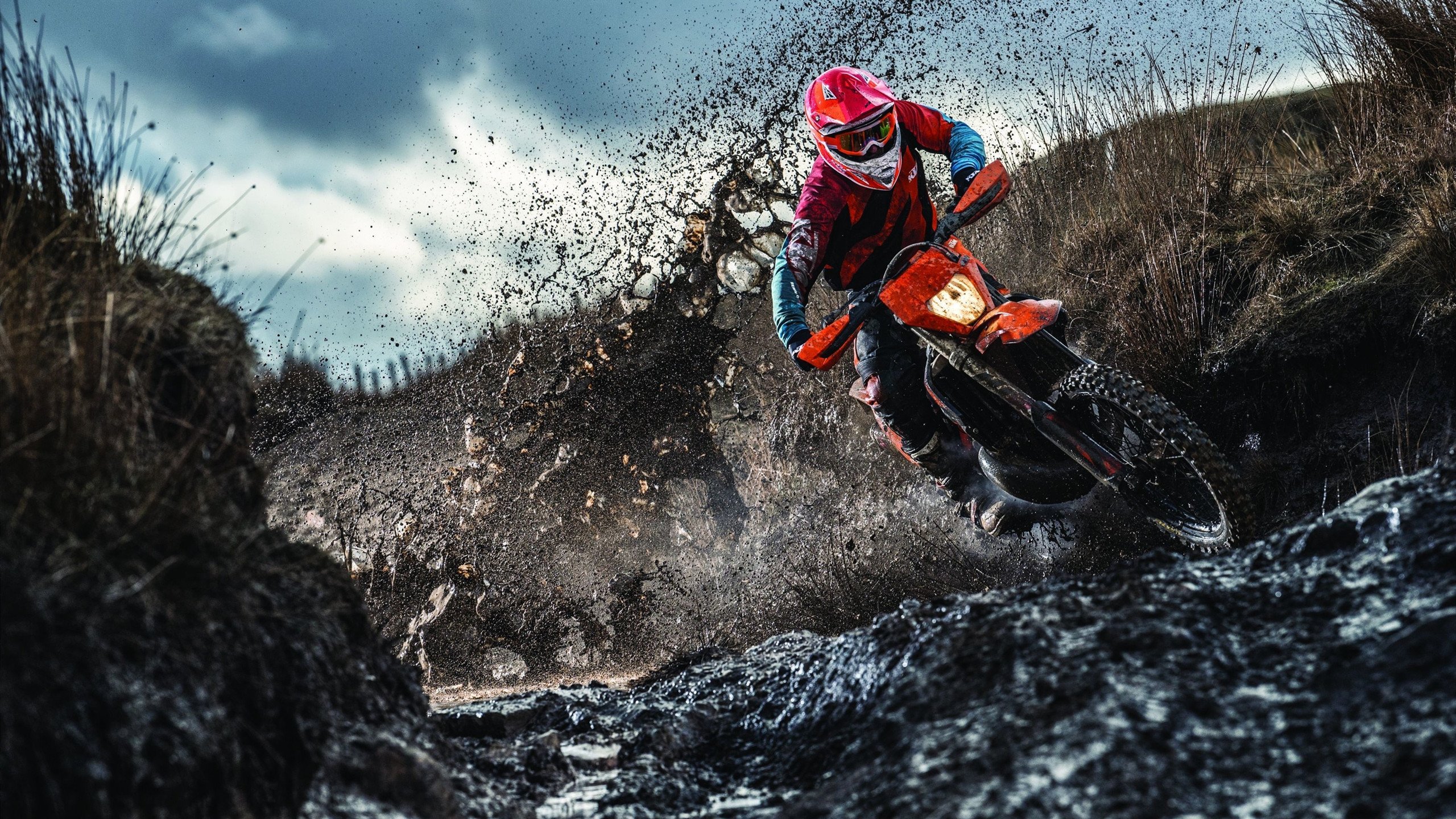 名人车手专访：他们的冠军秘籍，车 名人